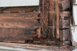 residential termite damage1 residential-termite-damage