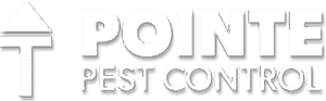 pointe logo11 pointe-logo