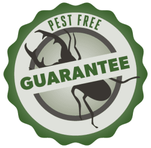 service guarantee1 service-guarantee
