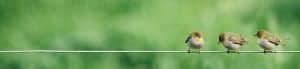 header about1 header-about