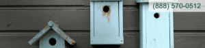 header residentail termites1 1024x239 header-residentail-termites1-1024x239