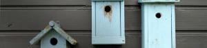 header residentail termites1 header-residentail-termites