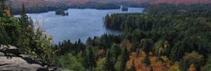algonquin1 algonquin