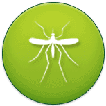 mosquito Algonquin Pest Control