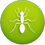 pest 1 Algonquin Pest Control