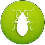 pest 2 Algonquin Pest Control