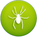 pest 5 Algonquin Pest Control