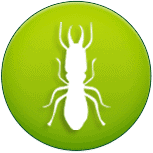 pest 6 Algonquin Pest Control