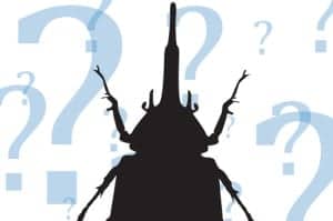 mysterypest2 mysterypest2
