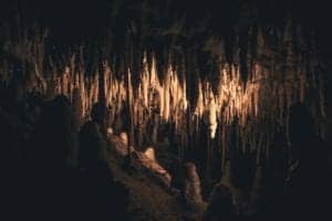 nature 2616359 1920 nature-2616359_1920