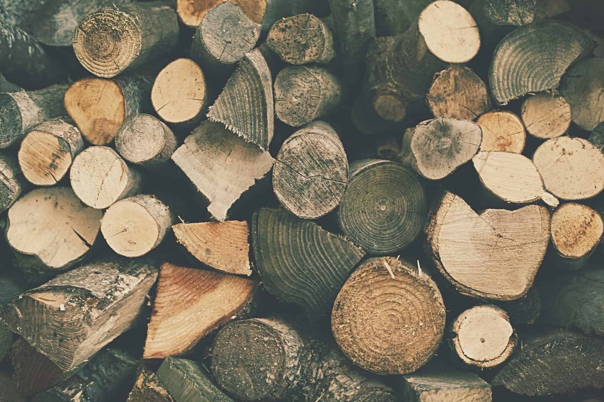 wood 731389 1920 The 3 Creatures Lurking in Your Firewood