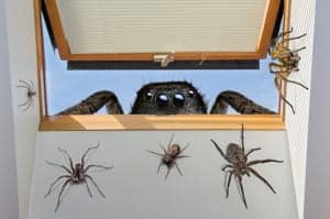 homeinvasion homeinvasion