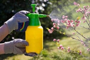 pesticides pesticides