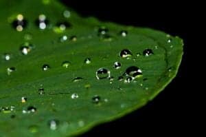 droplets 195841 960 720 droplets-195841_960_720