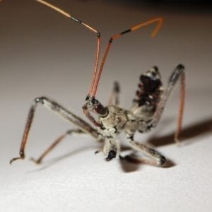 rimg0155 19014303510 o rimg0155_19014303510_o