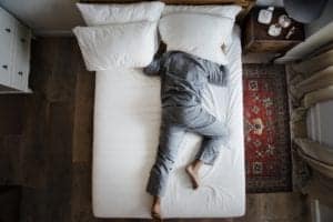 bed bug control