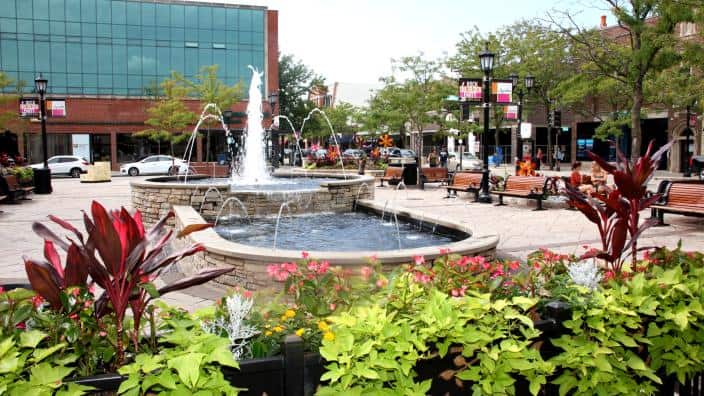 Elmhurst City Centre Now 1 3b96b7e15056a36 3b96bc1f 5056 a36a 0607b17ee2a1413f Leave a Review