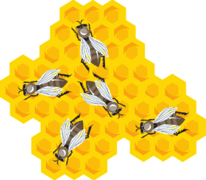 bees 45790 1280 bees-45790_1280