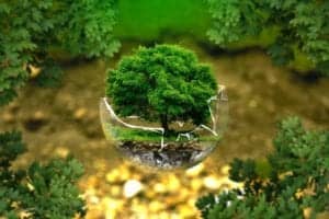environmental protection 326923 960 720 environmental-protection-326923_960_720
