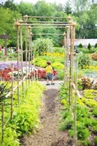 garden 1543674 1920 garden-1543674_1920