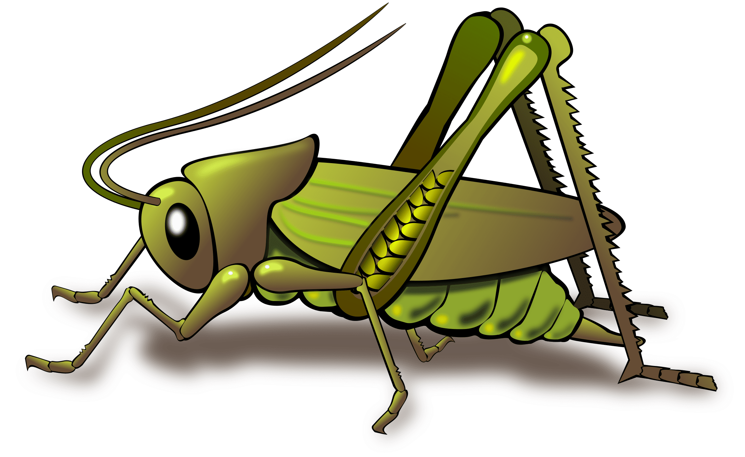 grasshopper PNG29 Pest Library