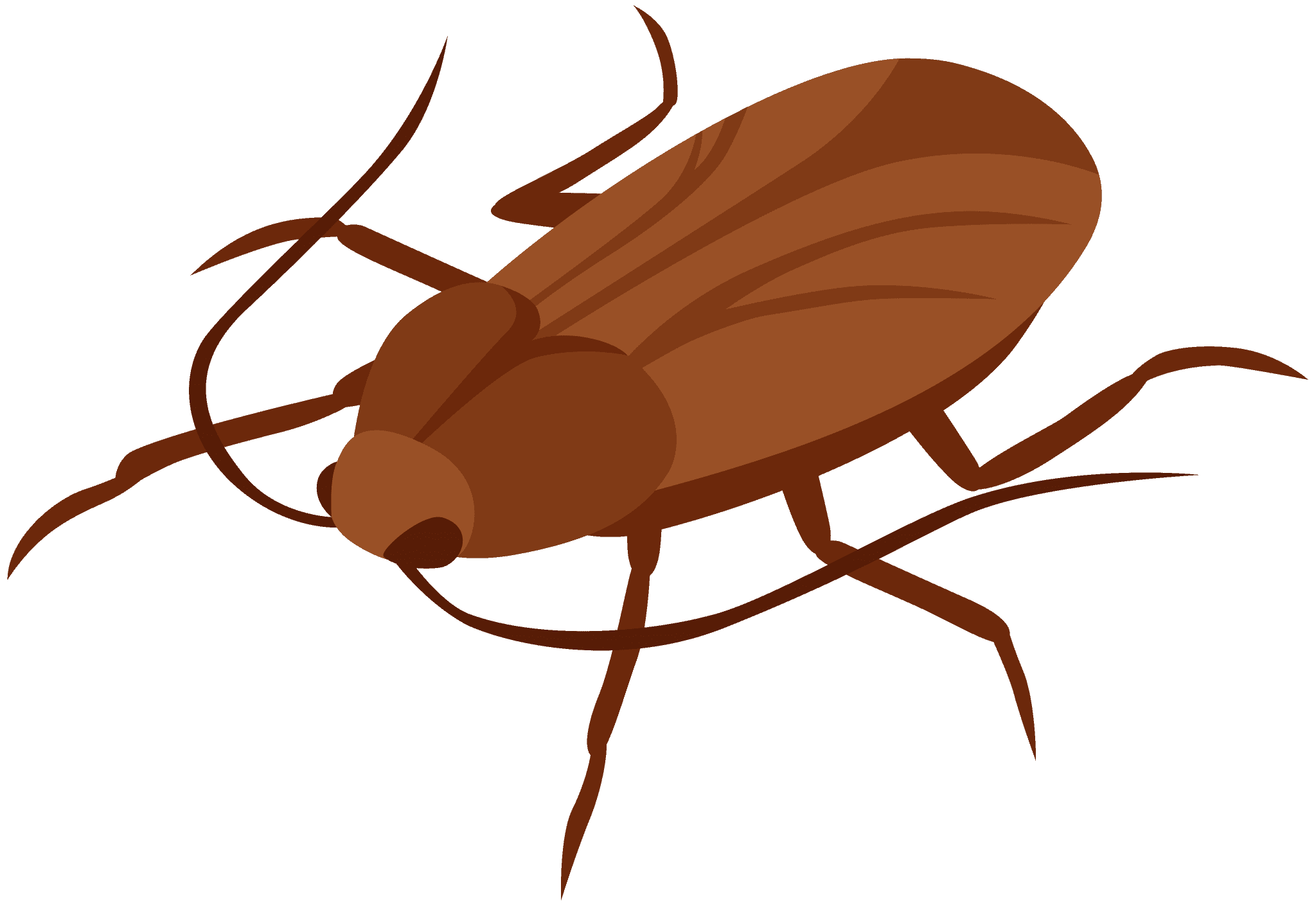 kissclipart-cockroach-clipart-cockroach-insect-clip-art-854c176c71127f91 kissclipart cockroach clipart cockroach insect clip art 854c176c71127f91 Pest Library