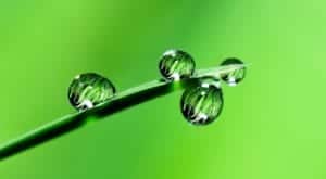 water 2986837 1280 water-2986837_1280