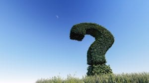 question mark 3255118 1920 question-mark-3255118_1920
