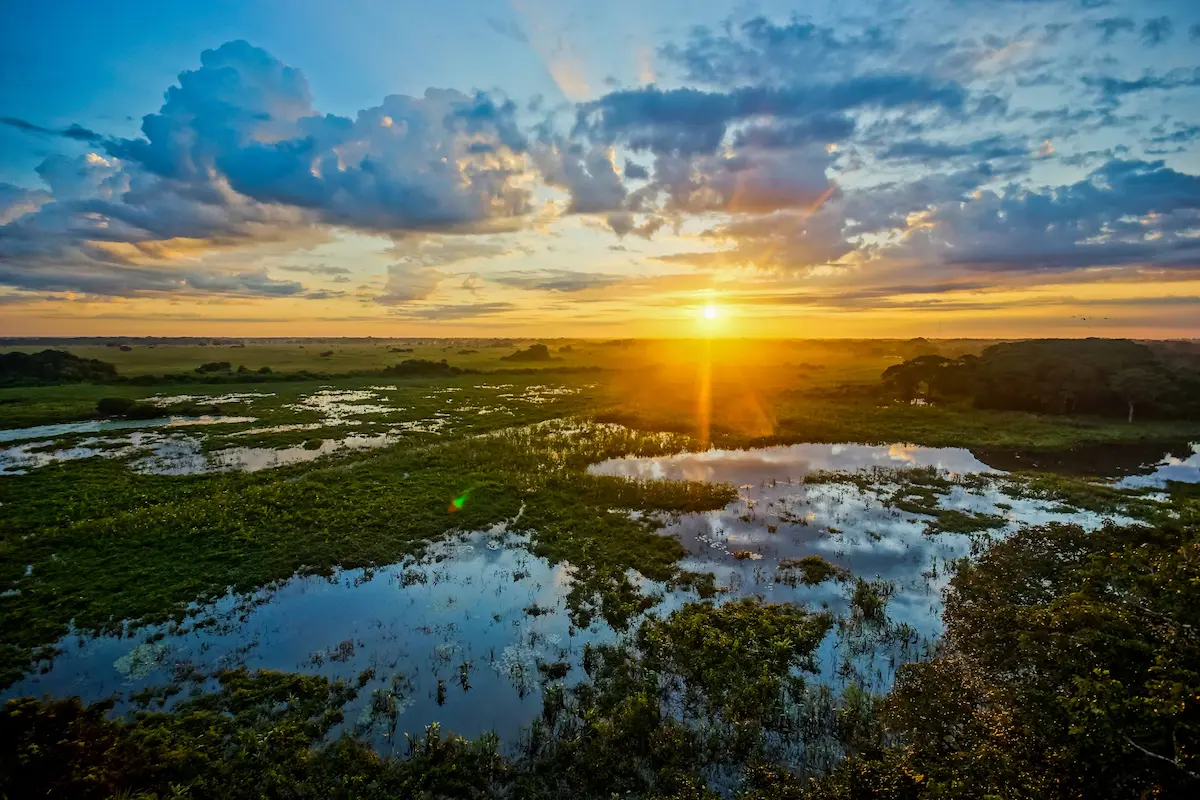 Beautiful wetland landscape with water reflections during sunset