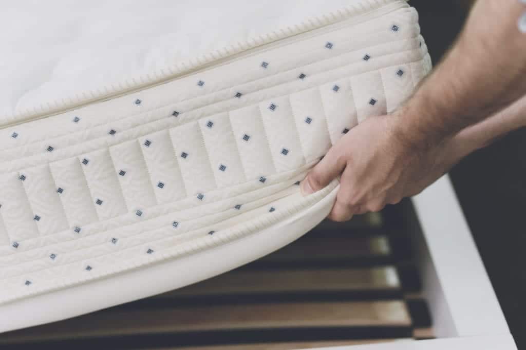mattress 2 Common Bed Bug Questions Answered