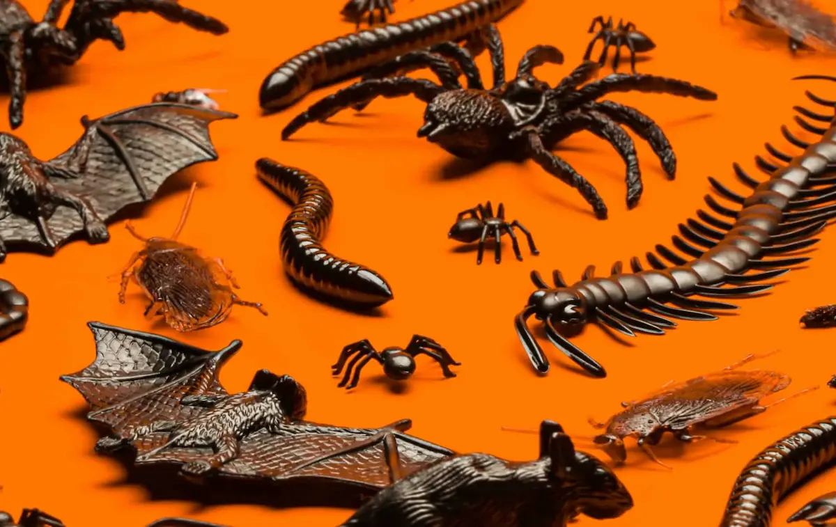 Various pest and insect figures displayed on orange background
