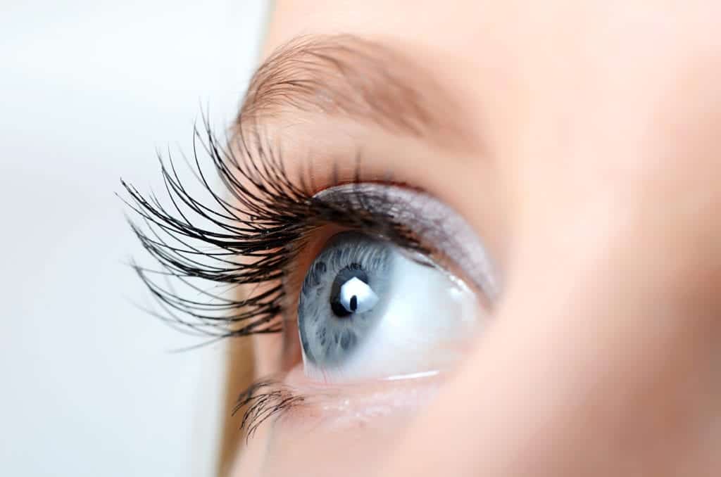 shutterstock 143916958 Fly’s Eyes May Help Explain Optical Illusions