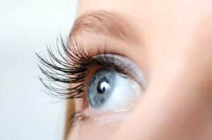 shutterstock 143916958 shutterstock_143916958