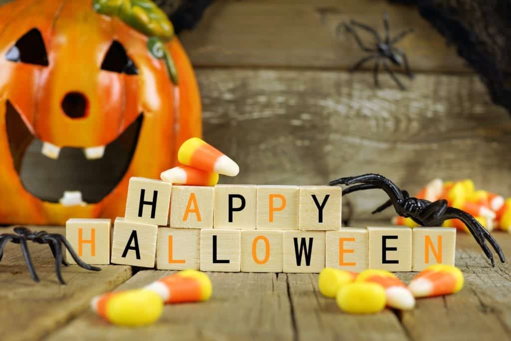 shutterstock 318279341 Why are Spiders a Symbol of Halloween?