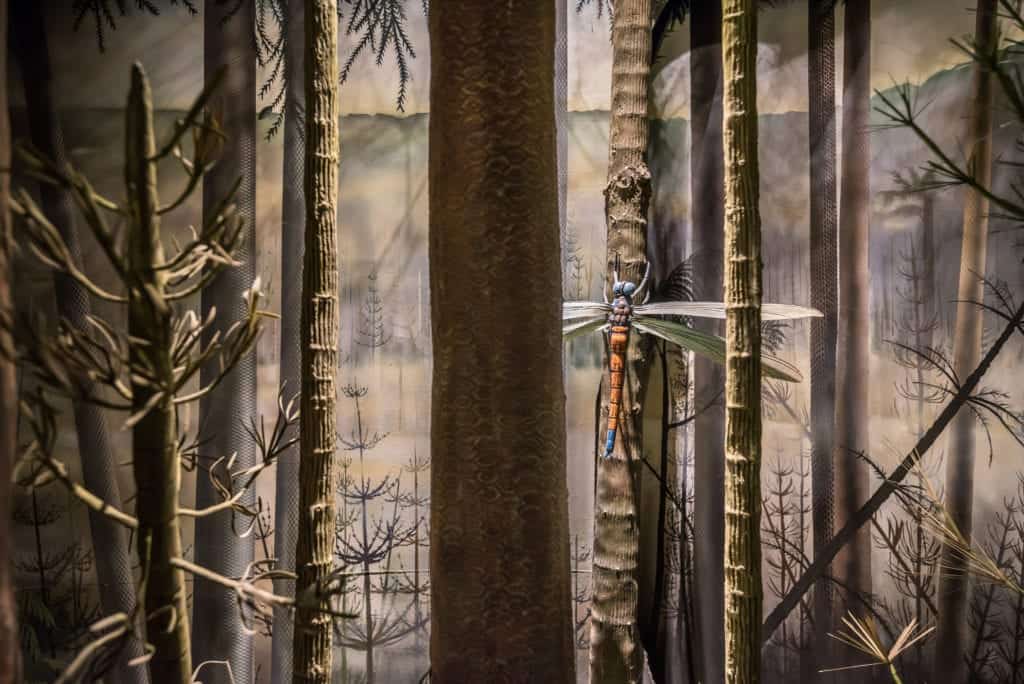 shutterstock 361266551 Could Insects Have Ended the Dinosaurs?