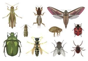 shutterstock 1090629953 shutterstock_1090629953