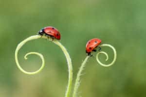 shutterstock 1571443192 shutterstock_1571443192