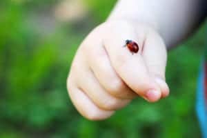 shutterstock 693383626 shutterstock_693383626