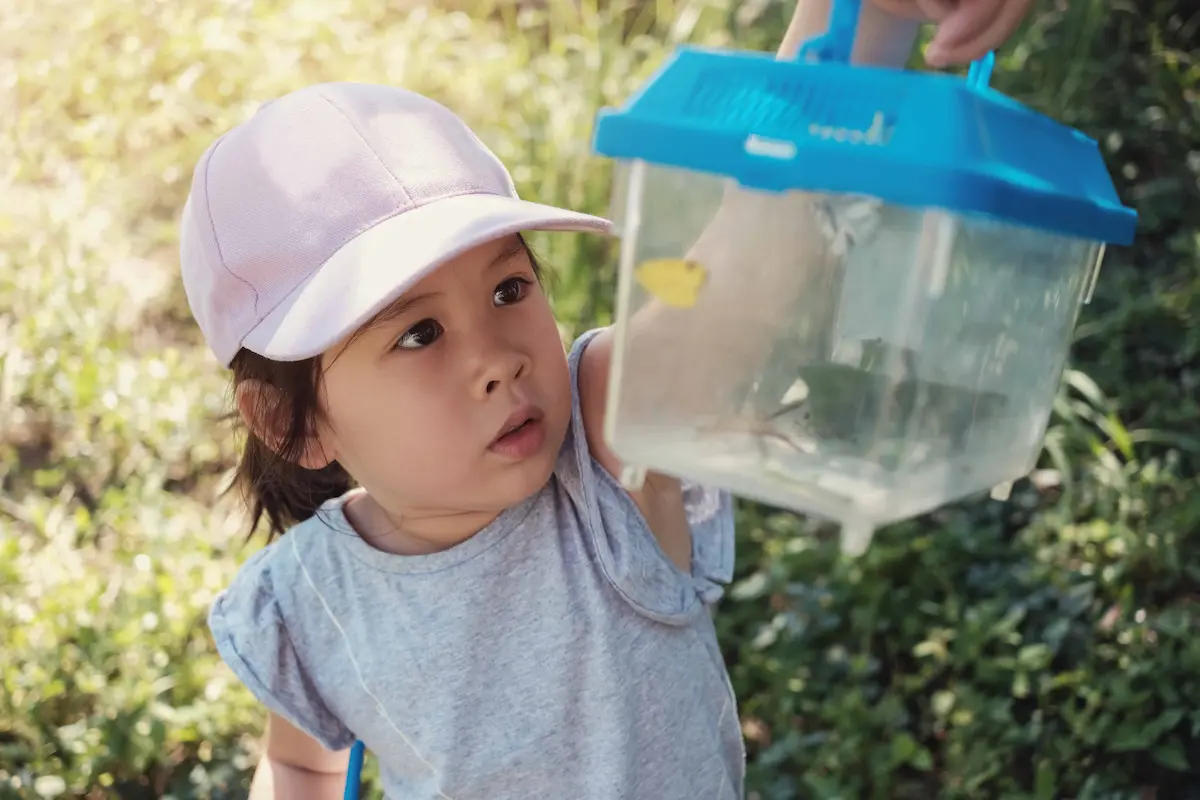 Young child examining an insect inside a clear observation container outdoors