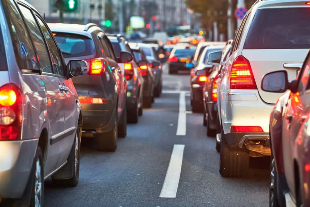 shutterstock 1215177502 Why Don’t Ants Have Traffic Jams?