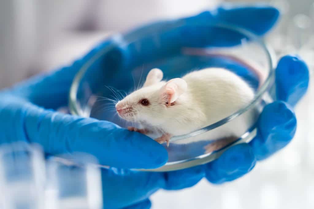 shutterstock 1304441872 Pests Can Be Helpful?!