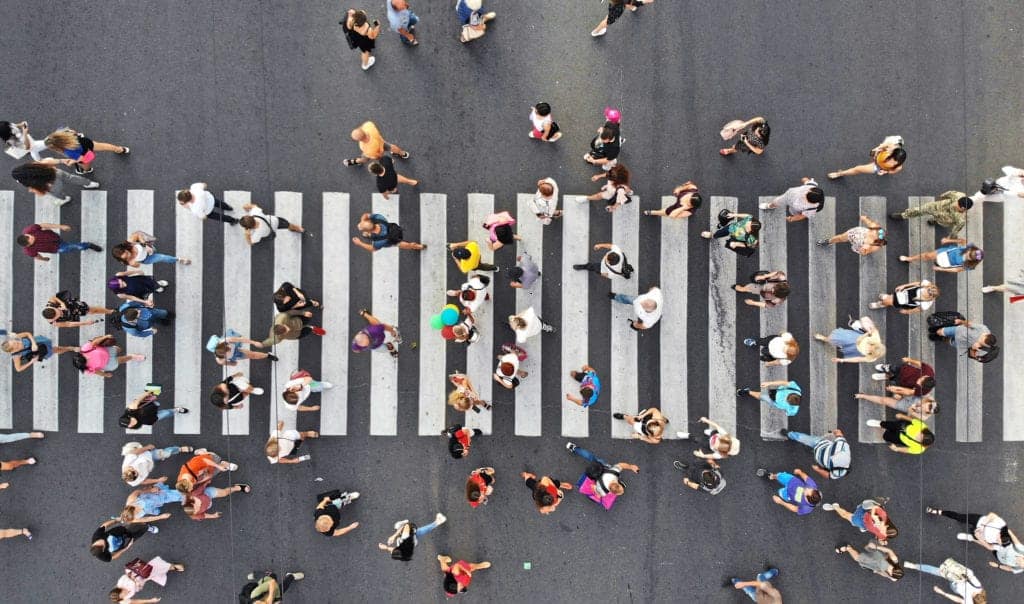shutterstock 1489866197 Why Don’t Ants Have Traffic Jams?