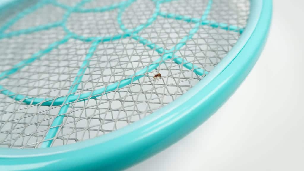 shutterstock 1849701532 Weird Attempts at DIY Pest Control