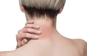 shutterstock 1333126100 shutterstock_1333126100