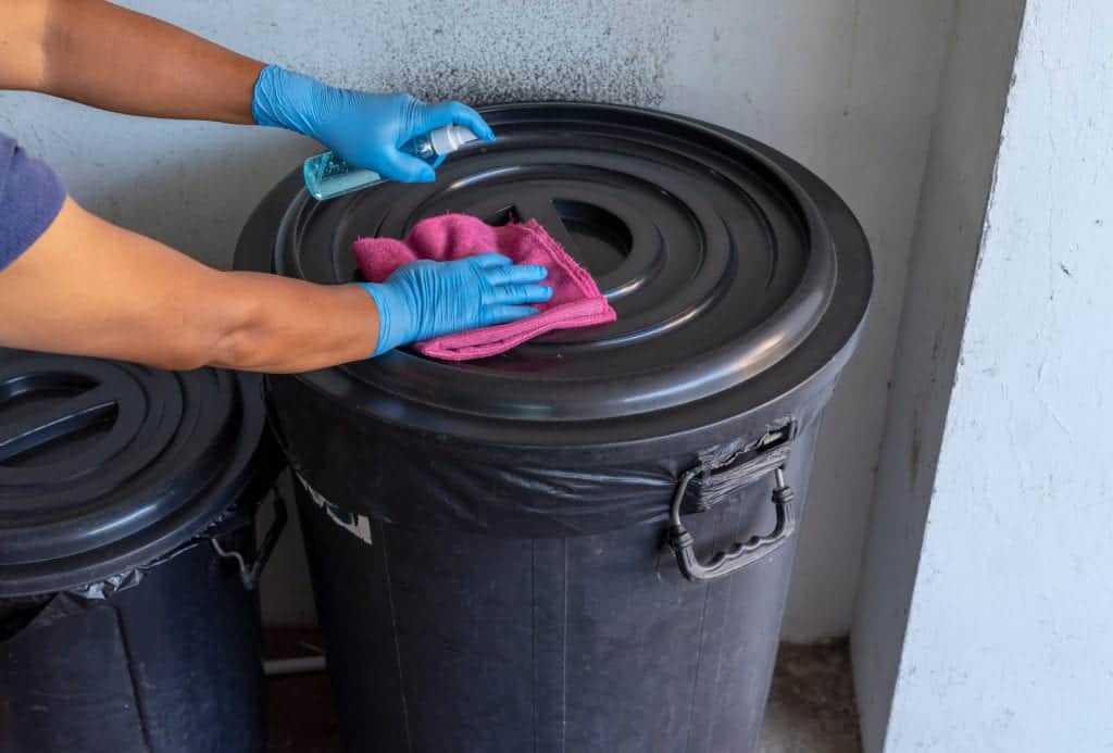 shutterstock 1721067046 My House is Clean… So Why Do I Have Pests?
