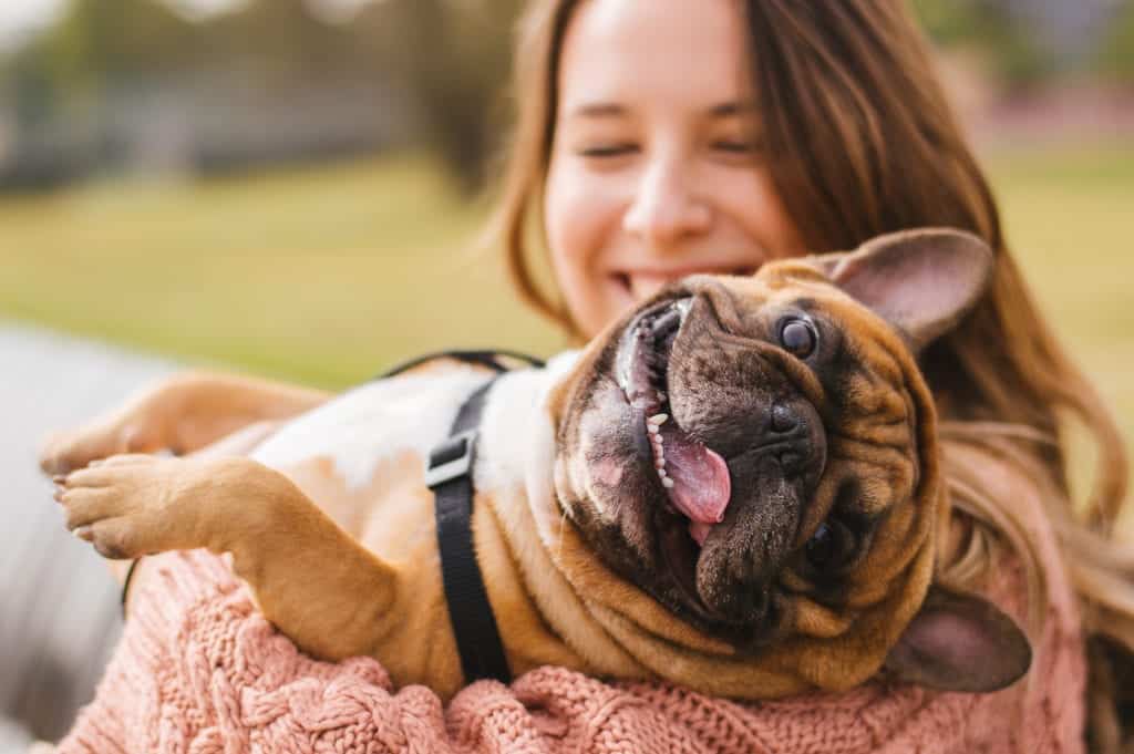 shutterstock 511107457 My House is Clean… So Why Do I Have Pests?