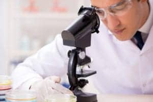 shutterstock 1282883284 Scientist,Entomologist,Studying,New,Butterfly,Species