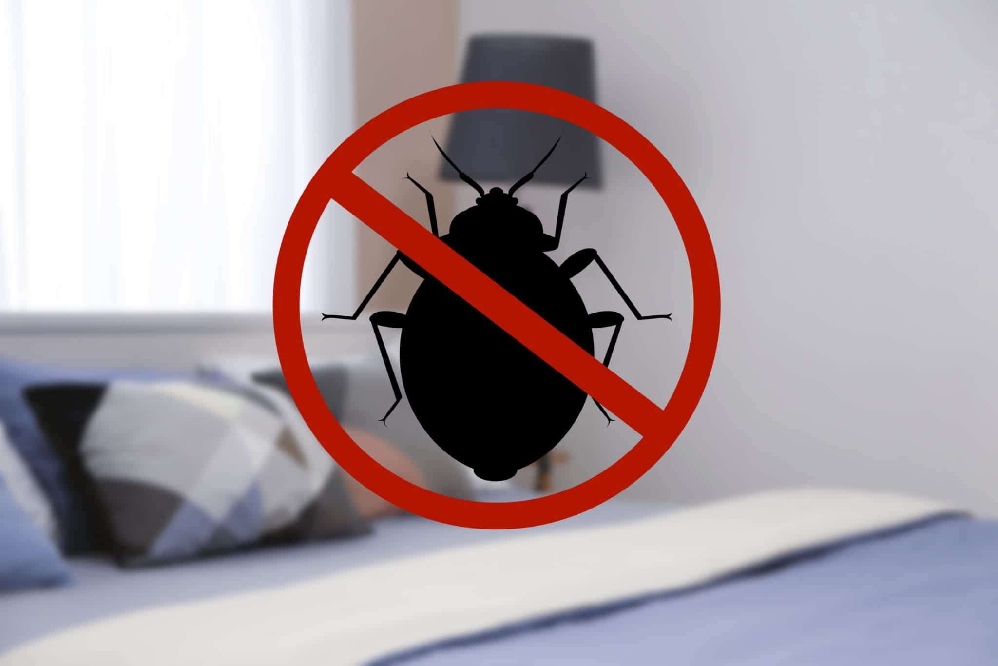shutterstock 1031701807 scaled Picky Bed Bugs
