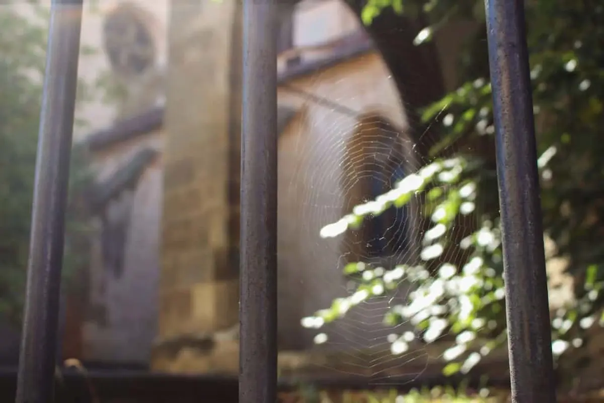 Delicate spider web suspended between metal bars with an old building blurred in the background