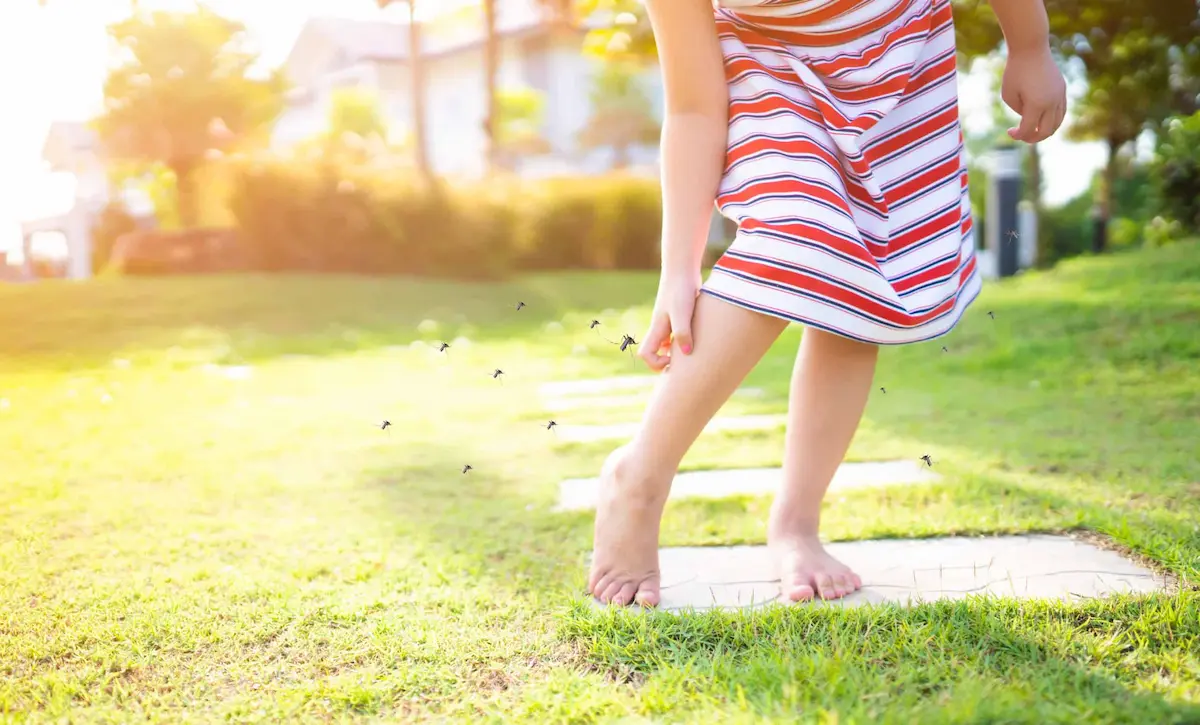 Child outdoors surrounded by flying mosquitoes.